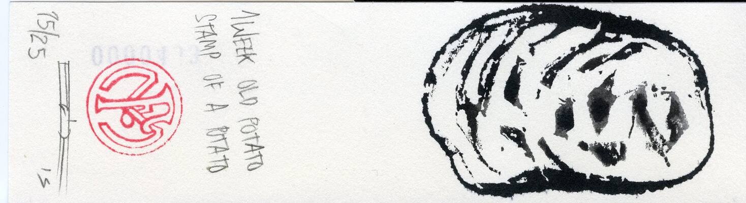 1 week old potato stamp of a potato
