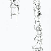 drawing /