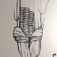 drawing /