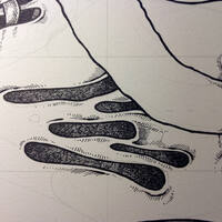 drawing /