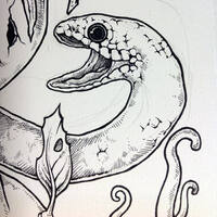 drawing /