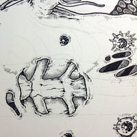 drawing /