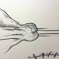 drawing /