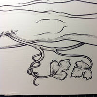 drawing /