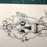 drawing /