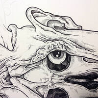 drawing /