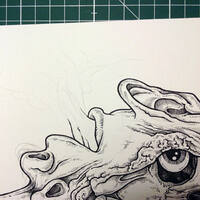 drawing /