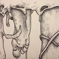drawing /