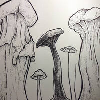 drawing /