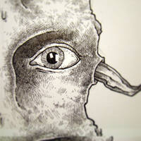 drawing /