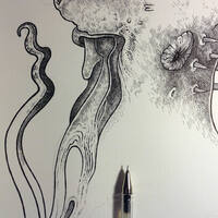 drawing /