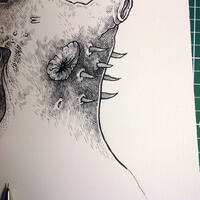 drawing /