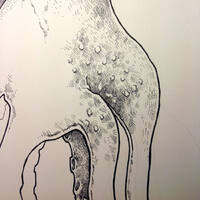 drawing /