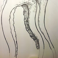 drawing /