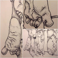 drawing /