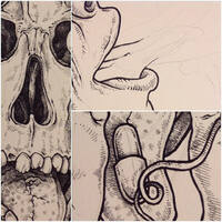 drawing /