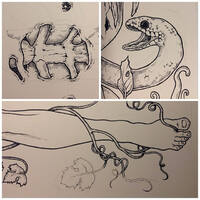 drawing /