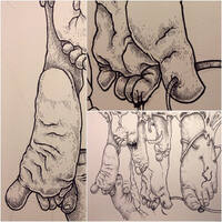 drawing /