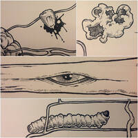 drawing /