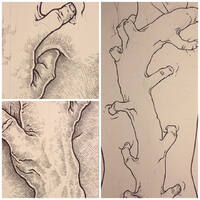 drawing /