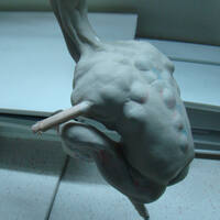sculpture /