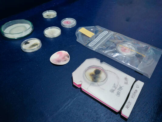 Dissection of unArtist
