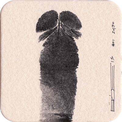 PrickPrint
