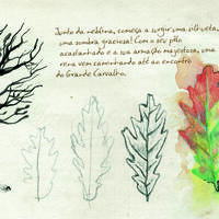 design /