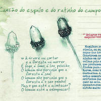 design /