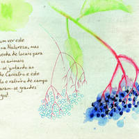 design /