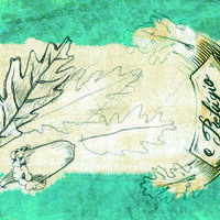 design /
