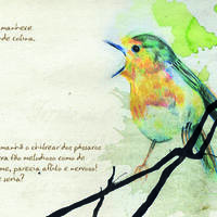 design /
