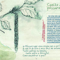 design /