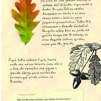 design /
