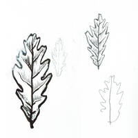 design /