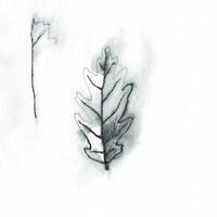 design /