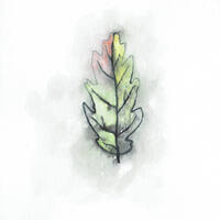 design /