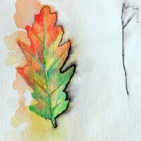 design /