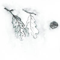 design /