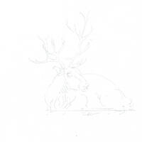 design /