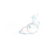 design /