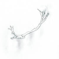 design /