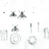 design /