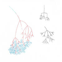 design /