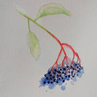 design /