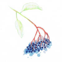 design /