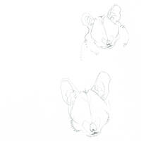 design /