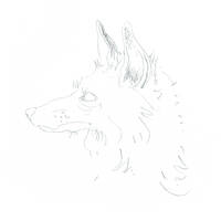 design /