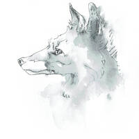 design /