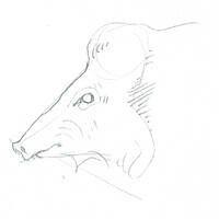 design /